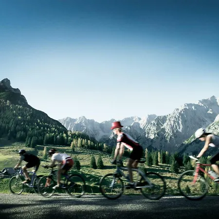 Glungezer לינה וארוחת בוקר טולפס