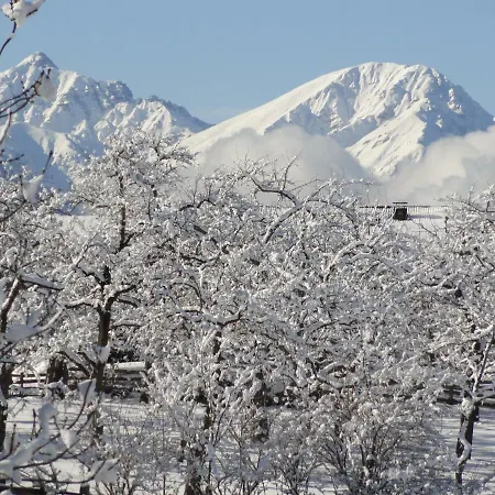 Glungezer לינה וארוחת בוקר טולפס