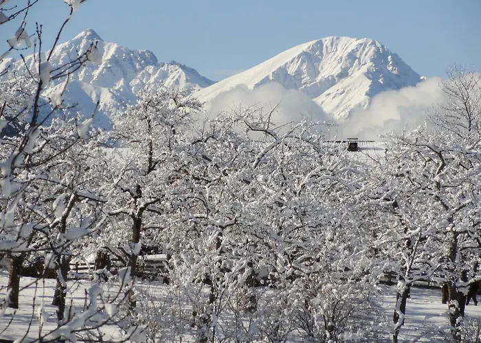 Glungezer Frühstückspension Tulfes